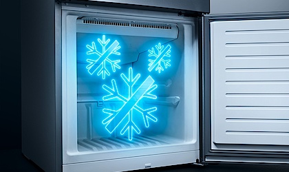 noFrost bei Eltec Brückl GmbH in Lauter-Bernsbach